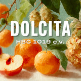 Dolcita (HBC 1019) Hops