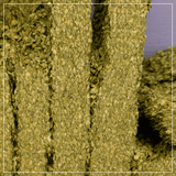 Whole Cone Hops 2025