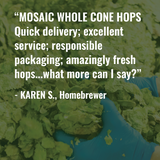 Mosaic Hops Positive Review